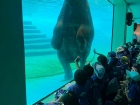 โครงการศึกษานอกสถานที่ ระดับชั้น ป.4 "ตะลุยดินแดนมหัศจรรย์ใน ... Image 110