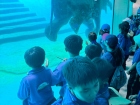 โครงการศึกษานอกสถานที่ ระดับชั้น ป.4 "ตะลุยดินแดนมหัศจรรย์ใน ... Image 111