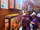 โครงการศึกษานอกสถานที่ ระดับชั้น ป.4 "ตะลุยดินแดนมหัศจรรย์ใน ... Image 122