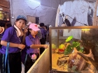 โครงการศึกษานอกสถานที่ ระดับชั้น ป.4 "ตะลุยดินแดนมหัศจรรย์ใน ... Image 123