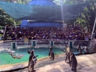 โครงการศึกษานอกสถานที่ ระดับชั้น ป.4 "ตะลุยดินแดนมหัศจรรย์ใน ... Image 80