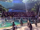โครงการศึกษานอกสถานที่ ระดับชั้น ป.4 "ตะลุยดินแดนมหัศจรรย์ใน ... Image 82