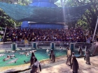 โครงการศึกษานอกสถานที่ ระดับชั้น ป.4 "ตะลุยดินแดนมหัศจรรย์ใน ... Image 83