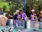 โครงการศึกษานอกสถานที่ ระดับชั้น ป.4 "ตะลุยดินแดนมหัศจรรย์ใน ... Image 94