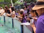 โครงการศึกษานอกสถานที่ ระดับชั้น ป.4 "ตะลุยดินแดนมหัศจรรย์ใน ... Image 95
