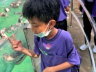 โครงการศึกษานอกสถานที่ ระดับชั้น ป.4 "ตะลุยดินแดนมหัศจรรย์ใน ... Image 100