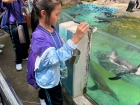 โครงการศึกษานอกสถานที่ ระดับชั้น ป.4 "ตะลุยดินแดนมหัศจรรย์ใน ... Image 103