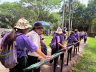 โครงการศึกษานอกสถานที่ ระดับชั้น ป.4 "ตะลุยดินแดนมหัศจรรย์ใน ... Image 50