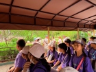 โครงการศึกษานอกสถานที่ ระดับชั้น ป.4 "ตะลุยดินแดนมหัศจรรย์ใน ... Image 37