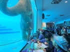 โครงการศึกษานอกสถานที่ ระดับชั้น ป.4 "ตะลุยดินแดนมหัศจรรย์ใน ... Image 118