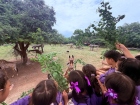 โครงการศึกษานอกสถานที่ ระดับชั้น ป.4 "ตะลุยดินแดนมหัศจรรย์ใน ... Image 129