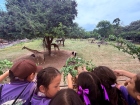 โครงการศึกษานอกสถานที่ ระดับชั้น ป.4 "ตะลุยดินแดนมหัศจรรย์ใน ... Image 131