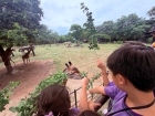 โครงการศึกษานอกสถานที่ ระดับชั้น ป.4 "ตะลุยดินแดนมหัศจรรย์ใน ... Image 132