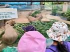 โครงการศึกษานอกสถานที่ ระดับชั้น ป.4 "ตะลุยดินแดนมหัศจรรย์ใน ... Image 144