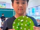 ประเมินผลกิจกรรมส่งเสริมความถนัดฯ ภาคต้น ปีการศึกษา 2569 Image 118