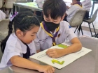 กิจกรรม "พี่ชวนน้องอ่าน" ระดับชั้น ป.1 และ ระดับชั้น ป.5 ครั ... Image 61