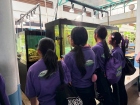 โครงการศึกษานอกสถานที่ ม.1 “เรียนรู้สนุกคิดกับวิทยาศาสตร์” Image 60