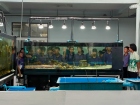 โครงการศึกษานอกสถานที่ ม.1 “เรียนรู้สนุกคิดกับวิทยาศาสตร์” Image 35