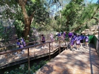 โครงการการศึกษานอกสถานที่ “ตะลุยดินแดนมหัศจรรย์ในเขาเขียว” ร ... Image 113
