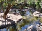 โครงการการศึกษานอกสถานที่ “ตะลุยดินแดนมหัศจรรย์ในเขาเขียว” ร ... Image 117