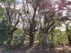 โครงการการศึกษานอกสถานที่ “ตะลุยดินแดนมหัศจรรย์ในเขาเขียว” ร ... Image 140