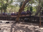 โครงการการศึกษานอกสถานที่ “ตะลุยดินแดนมหัศจรรย์ในเขาเขียว” ร ... Image 218
