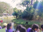 โครงการการศึกษานอกสถานที่ “ตะลุยดินแดนมหัศจรรย์ในเขาเขียว” ร ... Image 260