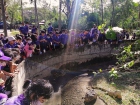โครงการการศึกษานอกสถานที่ “ตะลุยดินแดนมหัศจรรย์ในเขาเขียว” ร ... Image 265